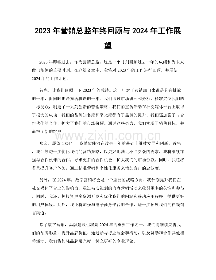 2023年营销总监年终回顾与2024年工作展望.docx_第1页