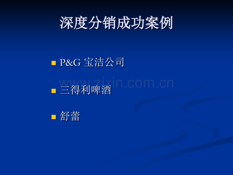 深度分销-城市运作管理模式.ppt_第3页