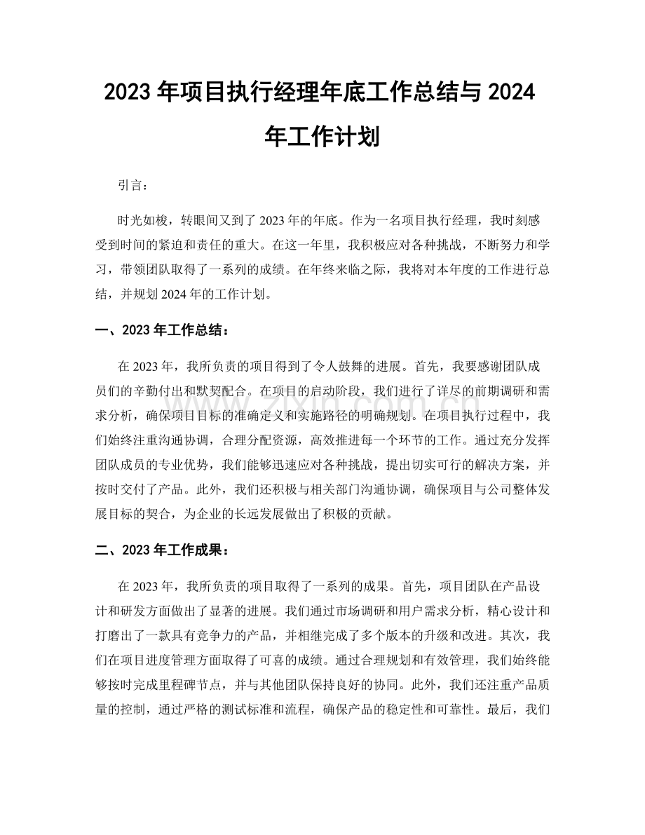 2023年项目执行经理年底工作总结与2024年工作计划.docx_第1页