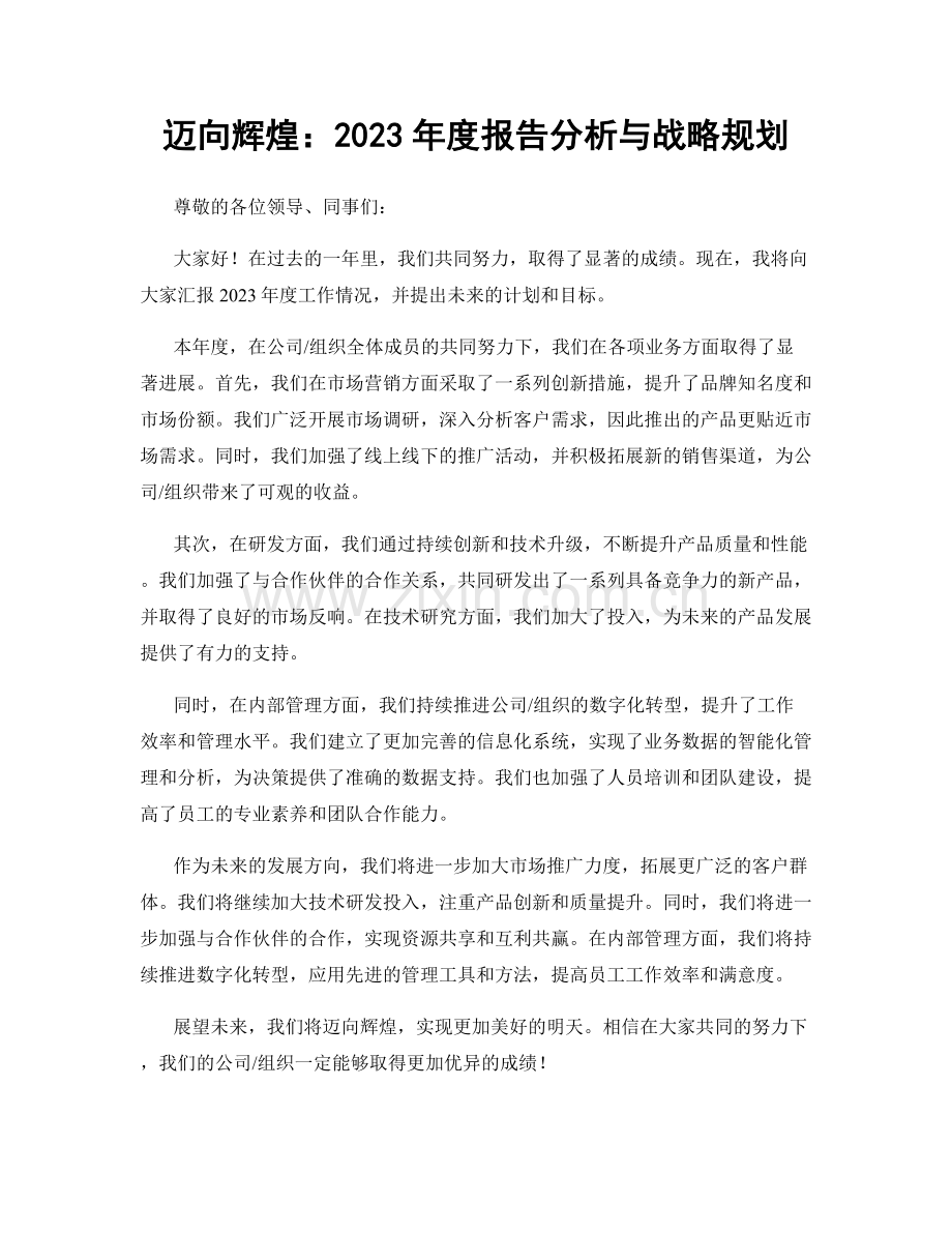 迈向辉煌：2023年度报告分析与战略规划.docx_第1页