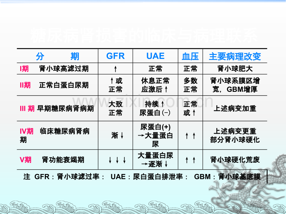 糖尿病肾病--.ppt_第3页