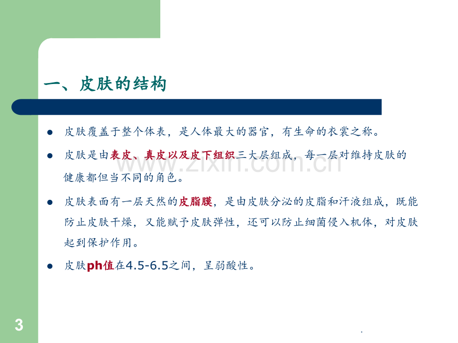 皮肤管理.ppt_第3页