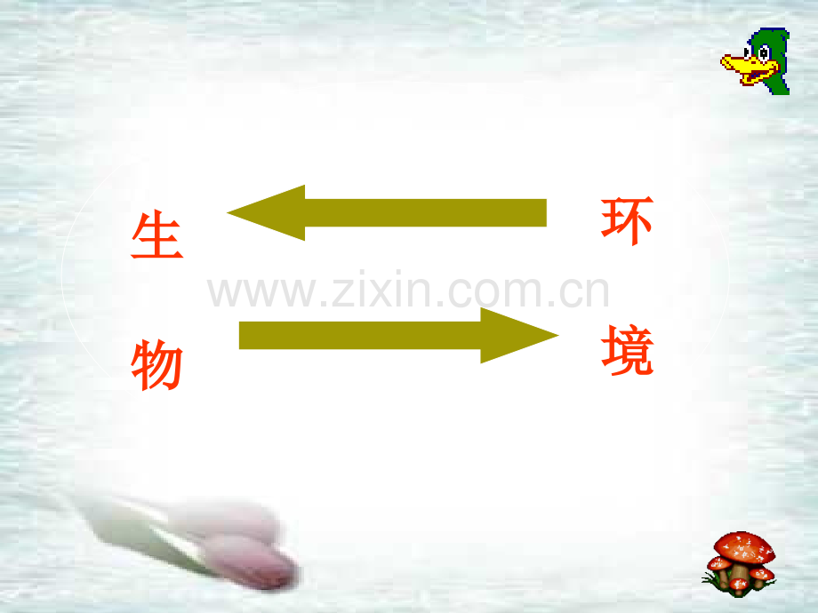 生物对环境的适应.ppt_第3页