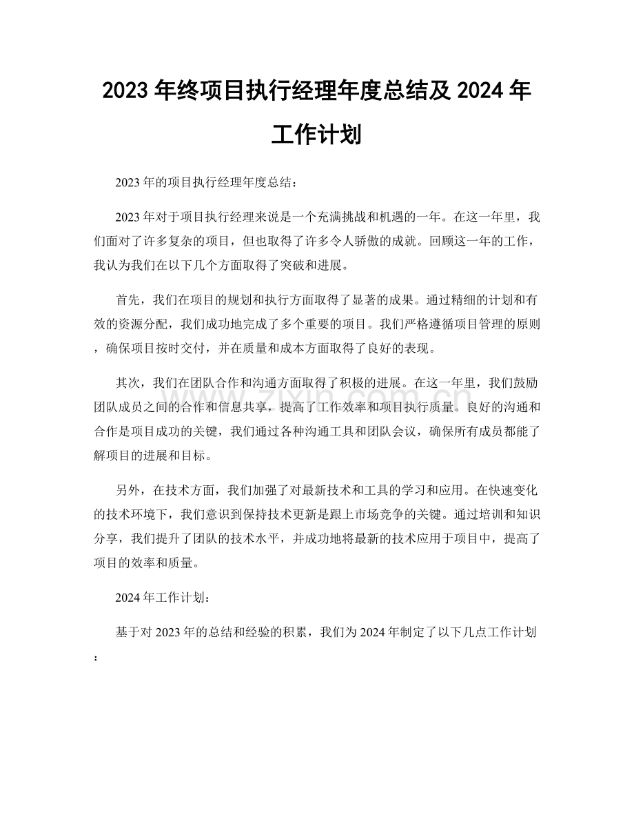 2023年终项目执行经理年度总结及2024年工作计划.docx_第1页