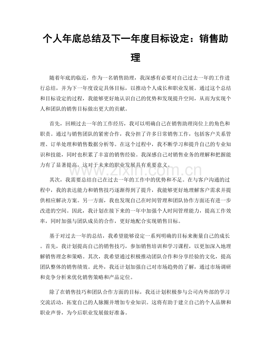 个人年底总结及下一年度目标设定：销售助理.docx_第1页