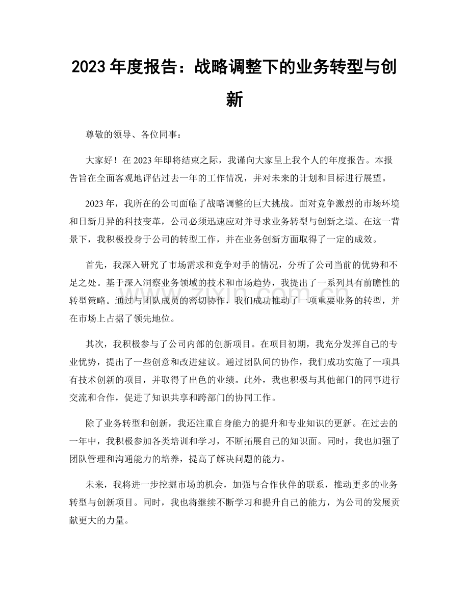 2023年度报告：战略调整下的业务转型与创新.docx_第1页