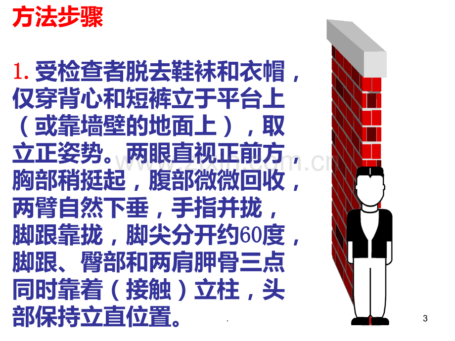 探究人体身高的早晚的变化.ppt_第3页