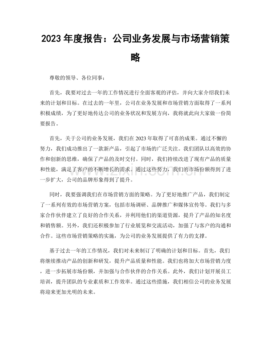 2023年度报告：公司业务发展与市场营销策略.docx_第1页