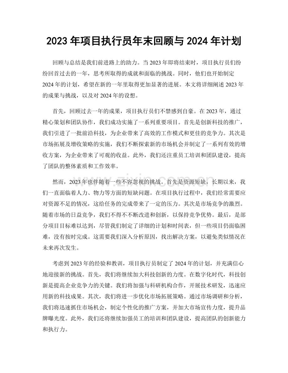 2023年项目执行员年末回顾与2024年计划.docx_第1页