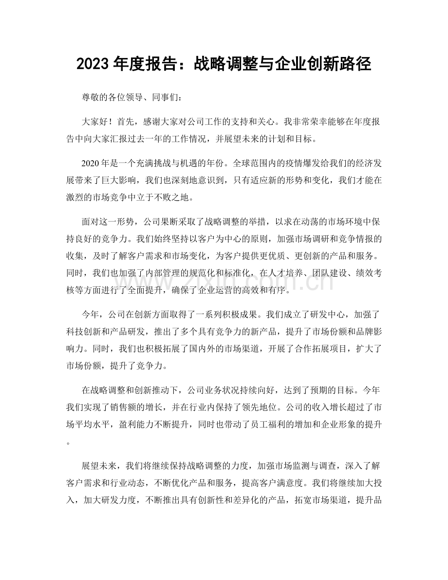 2023年度报告：战略调整与企业创新路径.docx_第1页