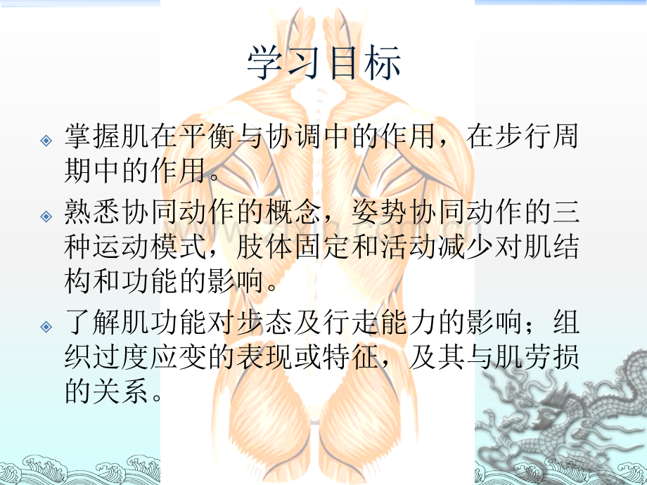 肌的功能与运动障碍.ppt_第2页