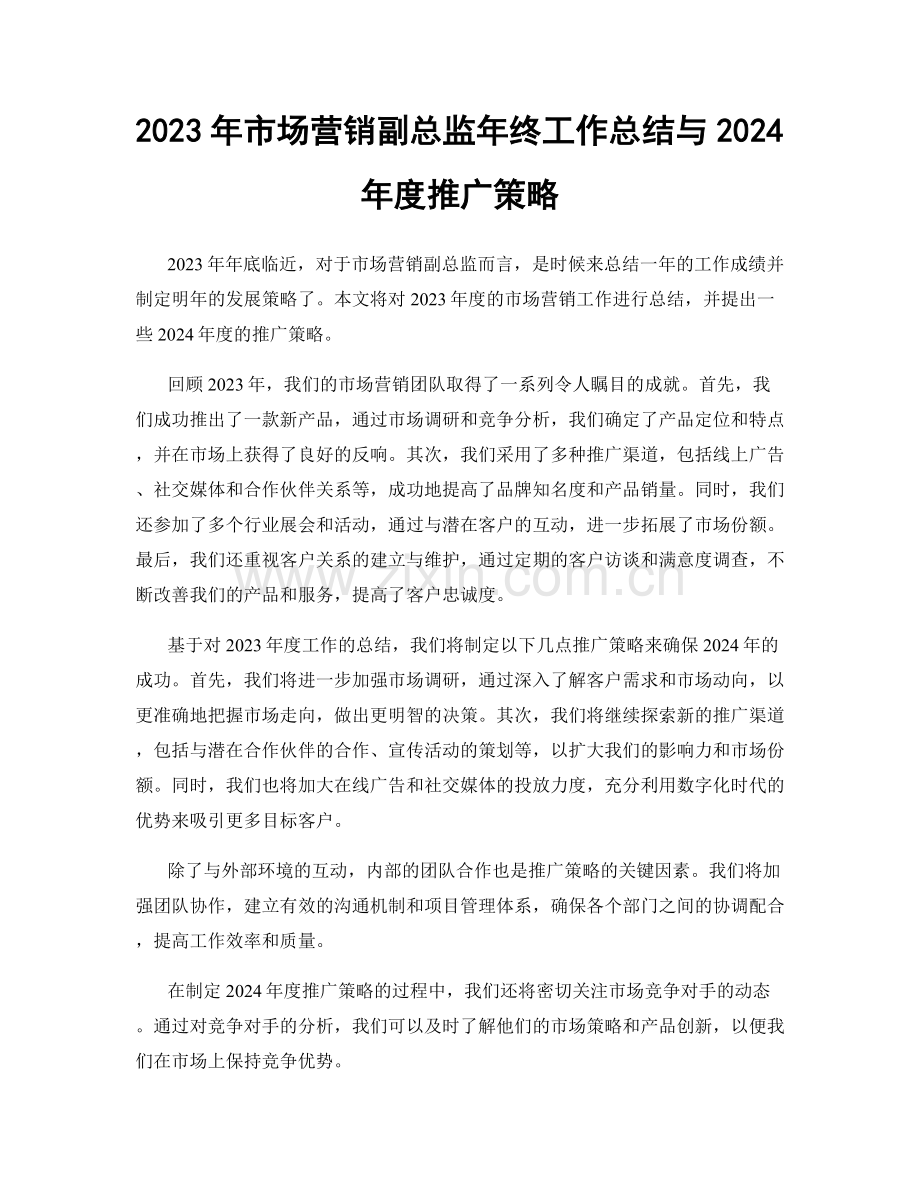 2023年市场营销副总监年终工作总结与2024年度推广策略.docx_第1页