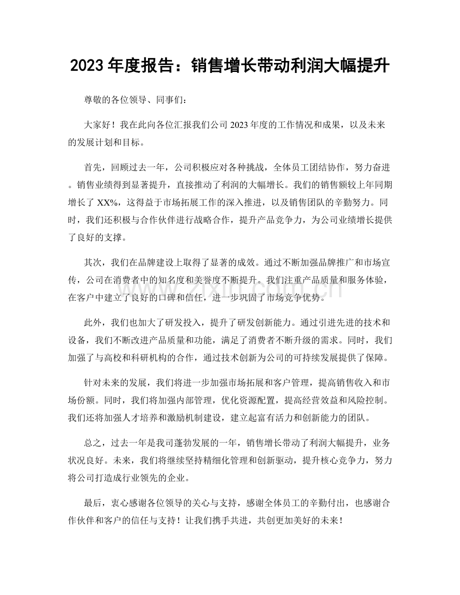 2023年度报告：销售增长带动利润大幅提升.docx_第1页