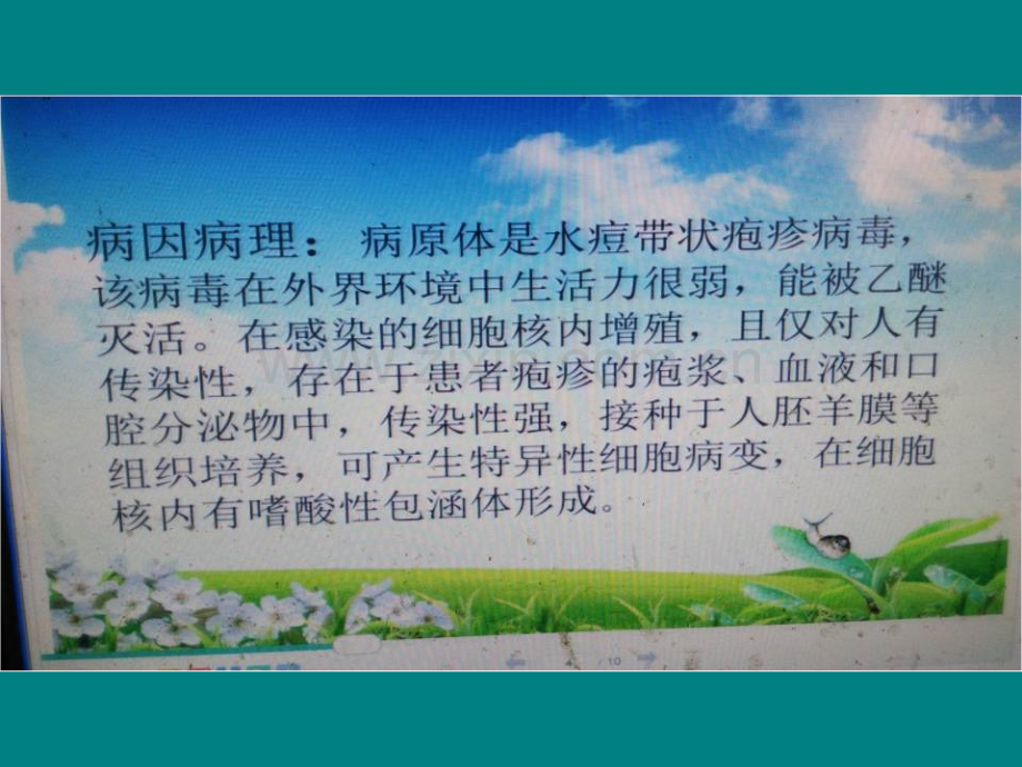 水痘的护理查房.ppt_第2页