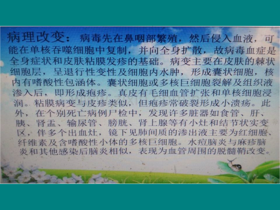 水痘的护理查房.ppt_第3页