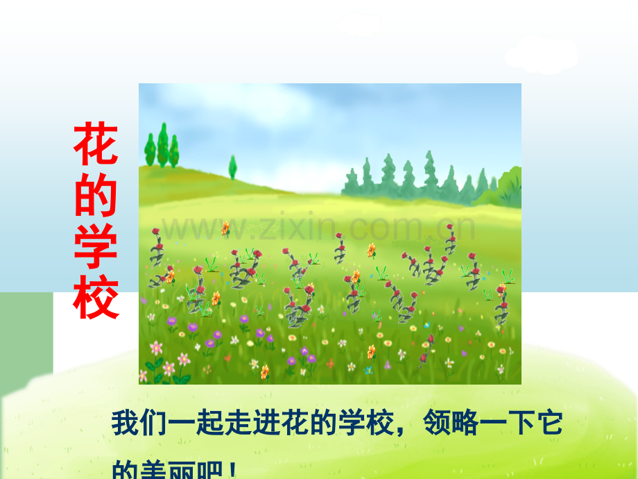 花的学校.ppt_第3页