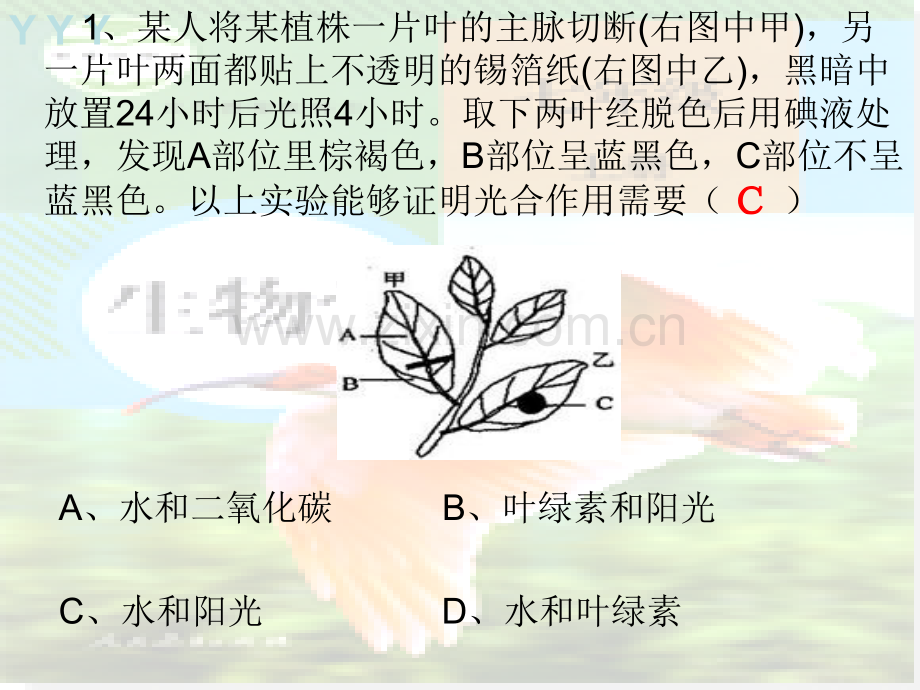 七上生物识图题大全.pptx_第2页