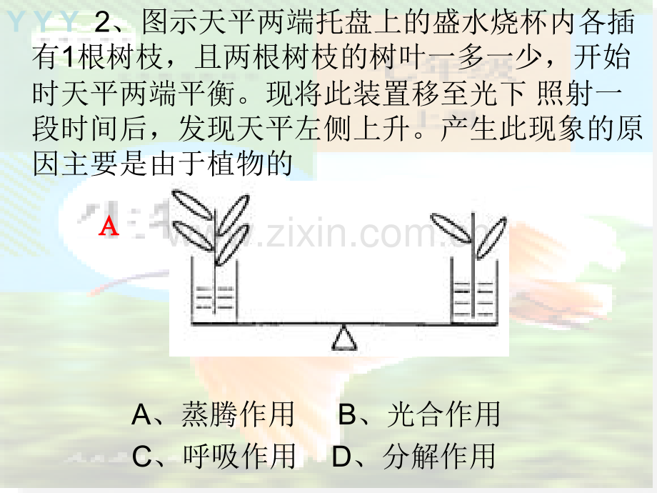 七上生物识图题大全.pptx_第3页