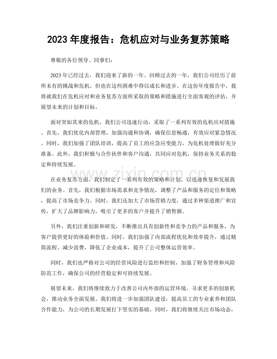 2023年度报告：危机应对与业务复苏策略.docx_第1页