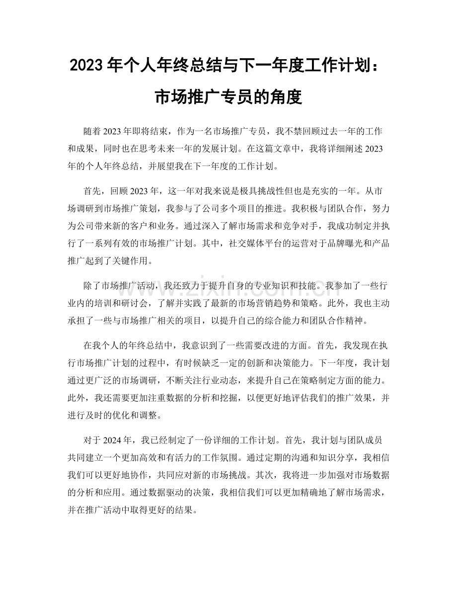 2023年个人年终总结与下一年度工作计划：市场推广专员的角度.docx_第1页