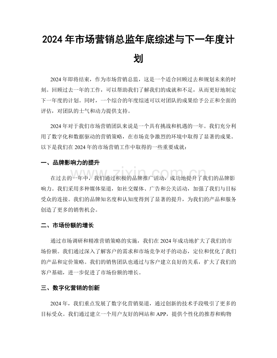 2024年市场营销总监年底综述与下一年度计划.docx_第1页