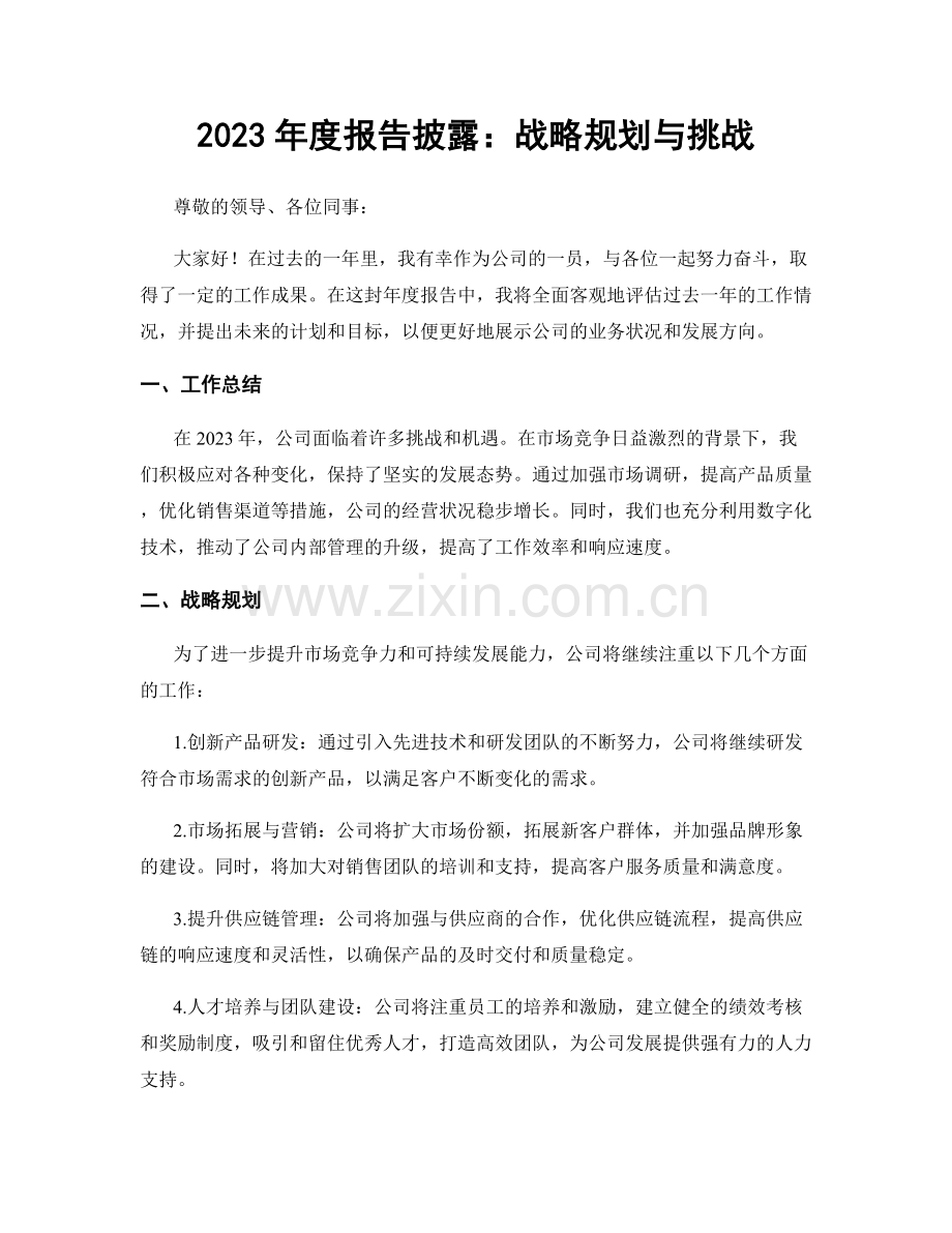 2023年度报告披露：战略规划与挑战.docx_第1页