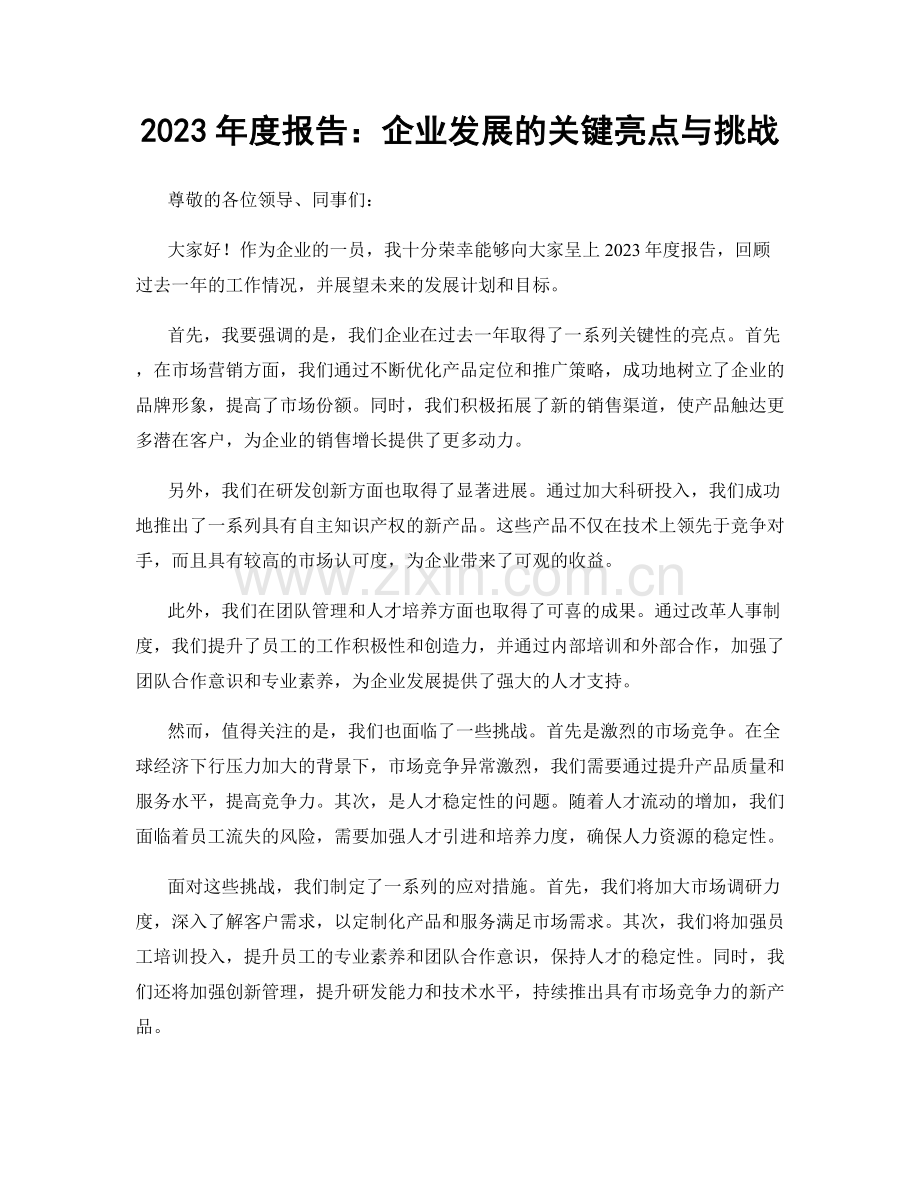 2023年度报告：企业发展的关键亮点与挑战.docx_第1页