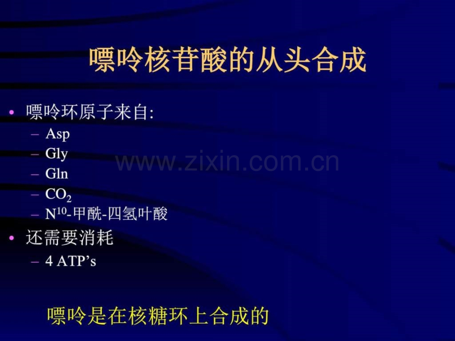 核苷酸代谢生物学自然科学专业资料.pptx_第3页