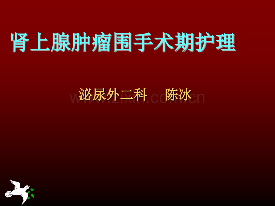 肾上腺肿瘤围手术期护理.ppt_第1页