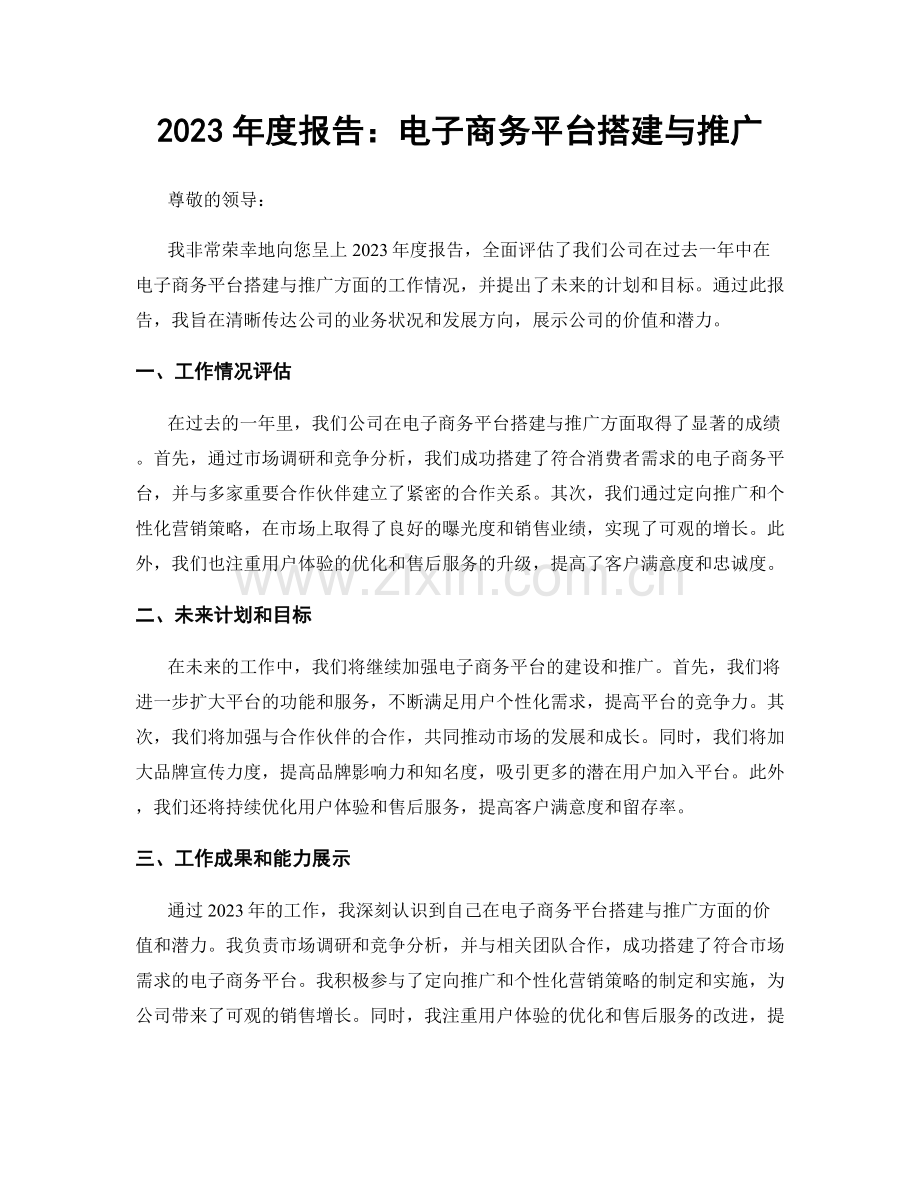 2023年度报告：电子商务平台搭建与推广.docx_第1页