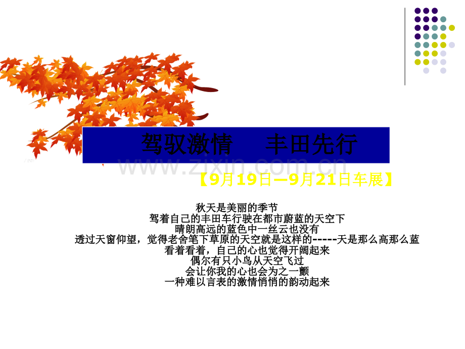 汽车车展活动促销方案.ppt_第2页