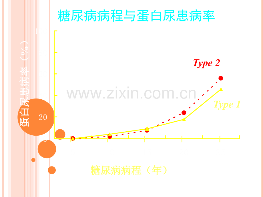 糖尿病肾病的防治策略.ppt_第2页