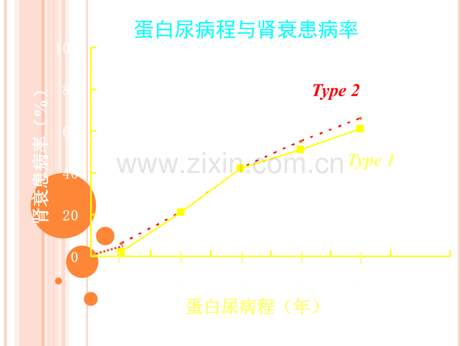 糖尿病肾病的防治策略.ppt_第3页