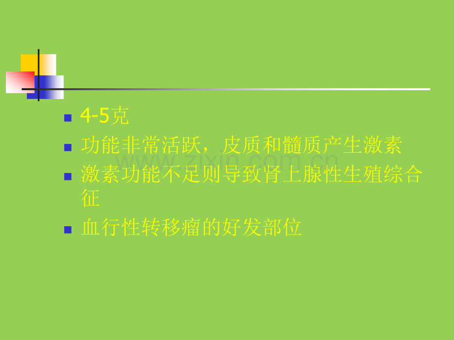 肾上腺病变的诊断与鉴别诊断王宵英.ppt_第2页