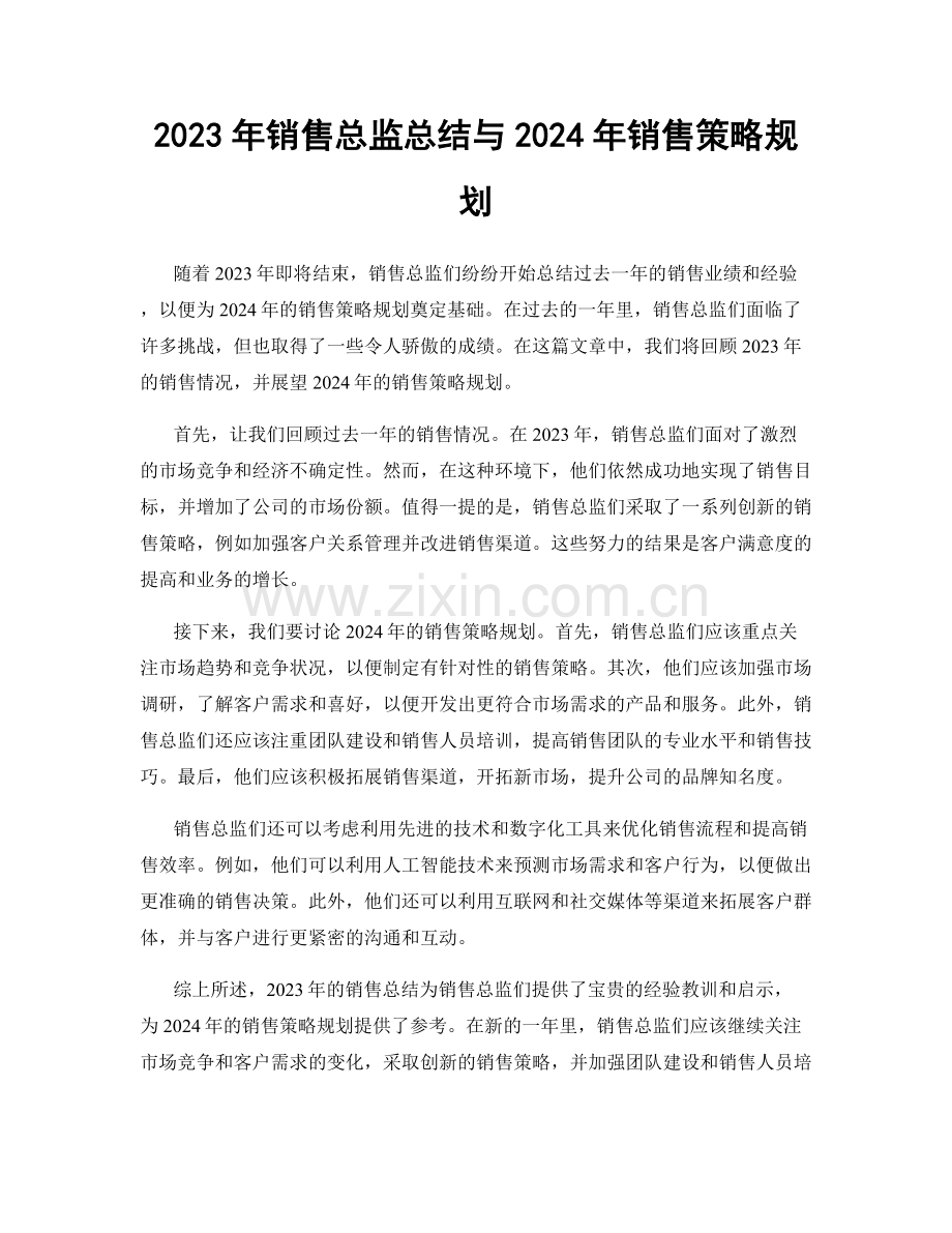 2023年销售总监总结与2024年销售策略规划.docx_第1页