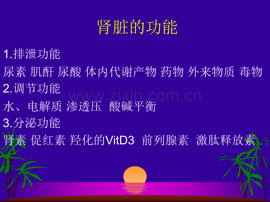 肾小管功能测定及临床意义.ppt_第3页