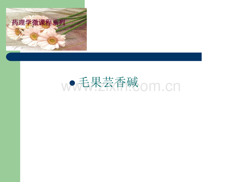 毛果芸香碱.ppt_第1页