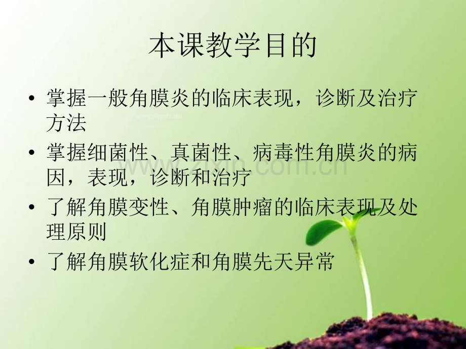 角膜病课件.ppt_第2页