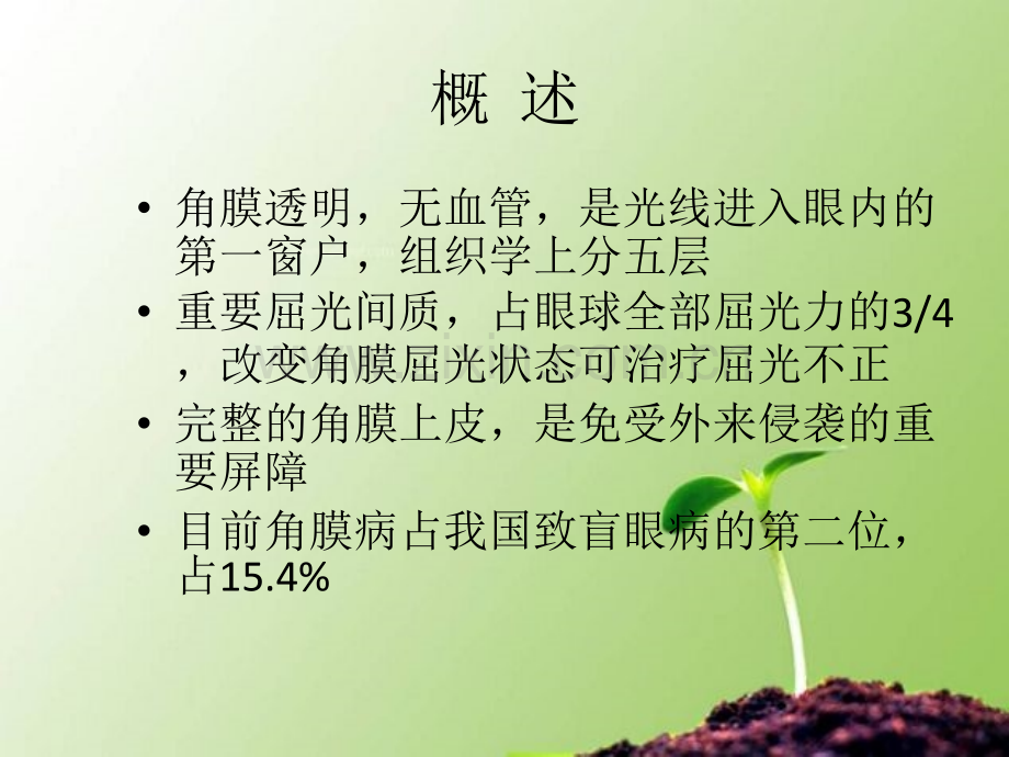 角膜病课件.ppt_第3页