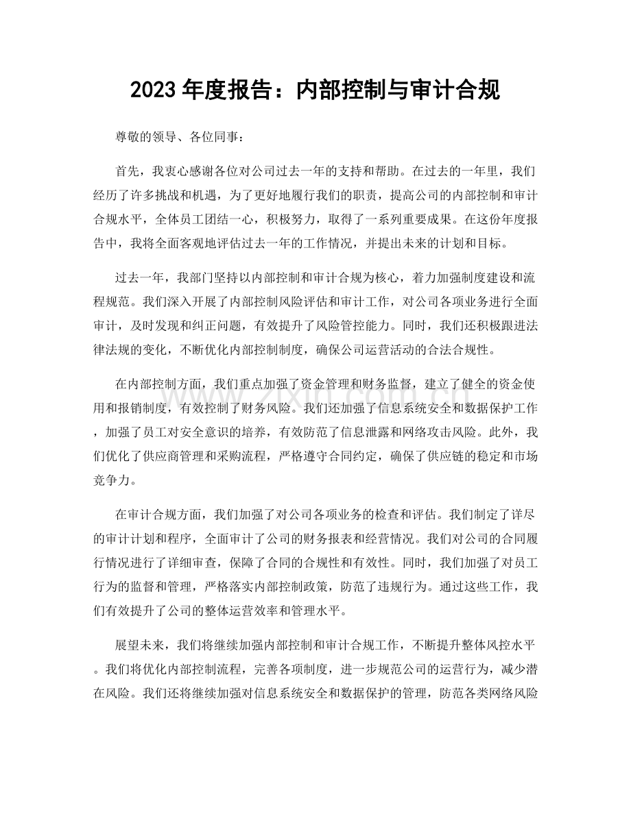 2023年度报告：内部控制与审计合规.docx_第1页