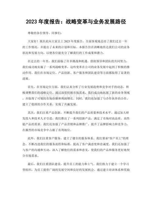 2023年度报告：战略变革与业务发展路径.docx