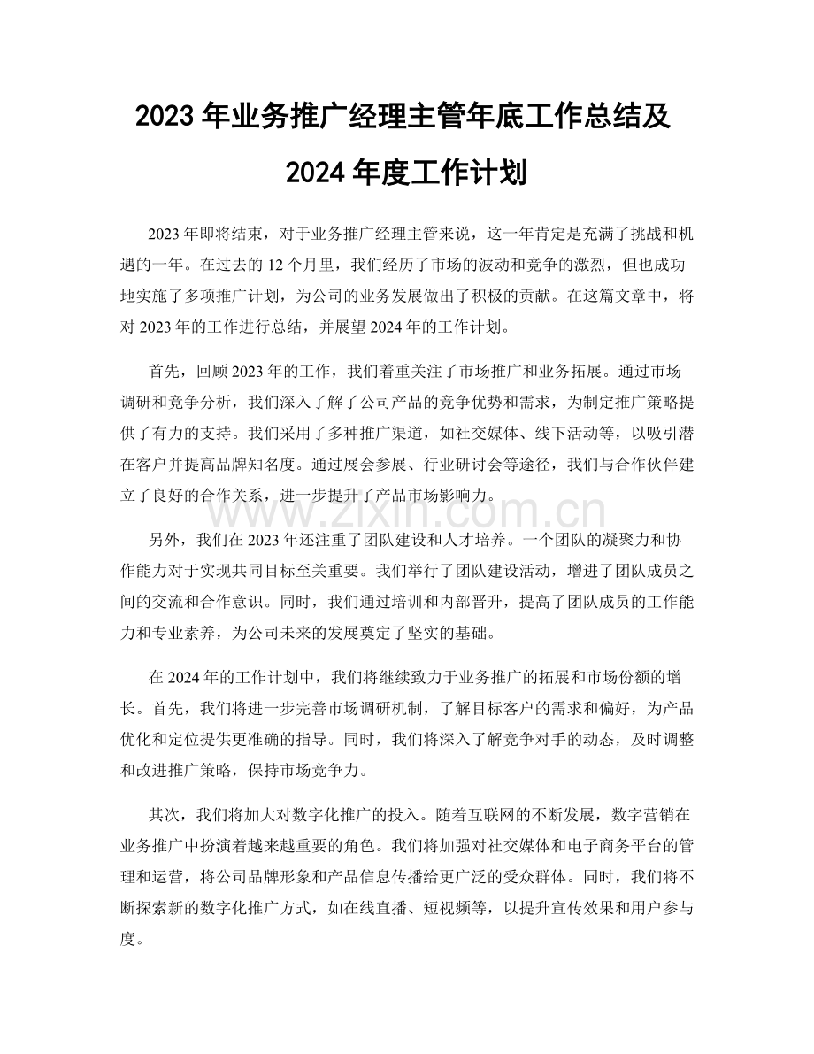 2023年业务推广经理主管年底工作总结及2024年度工作计划.docx_第1页