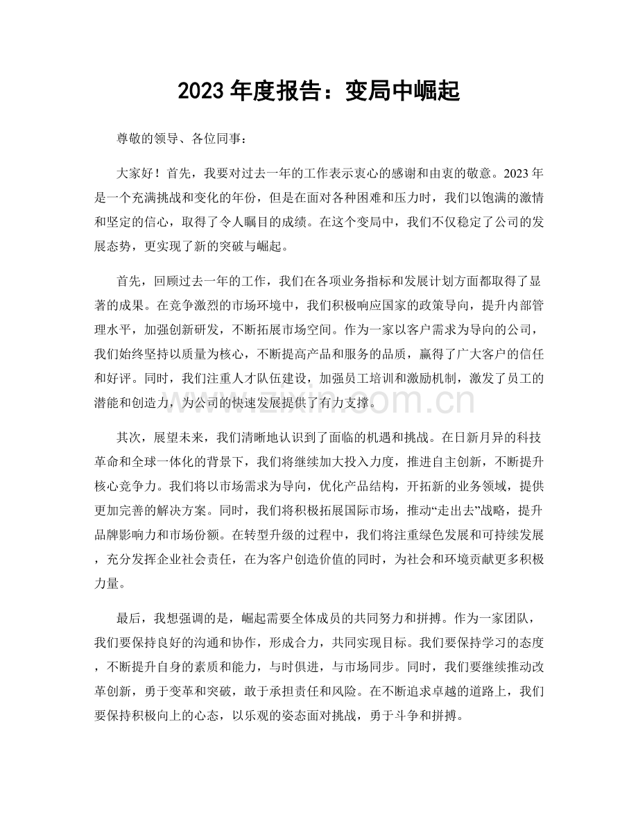 2023年度报告：变局中崛起.docx_第1页