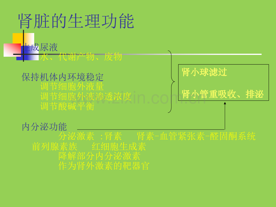 肾功能不全课件.ppt_第2页