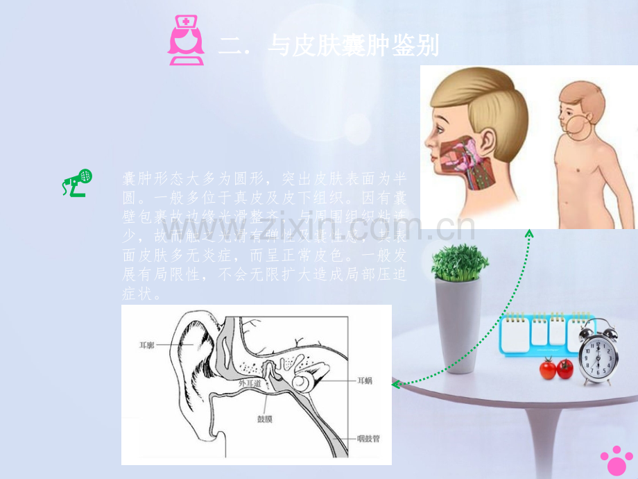 皮肤脓肿.ppt_第3页