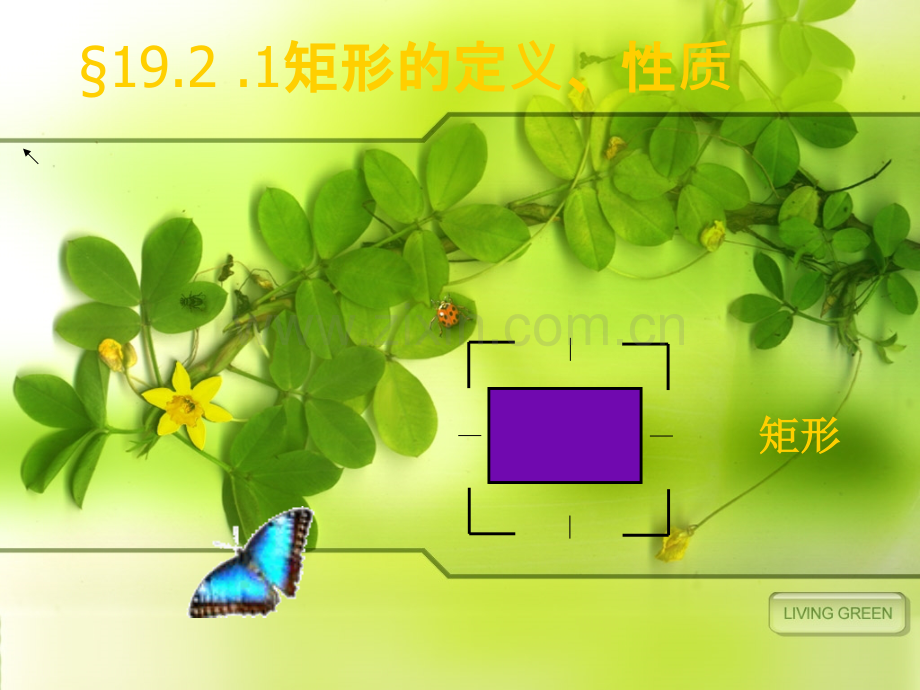 矩形的定义和性质.ppt_第1页