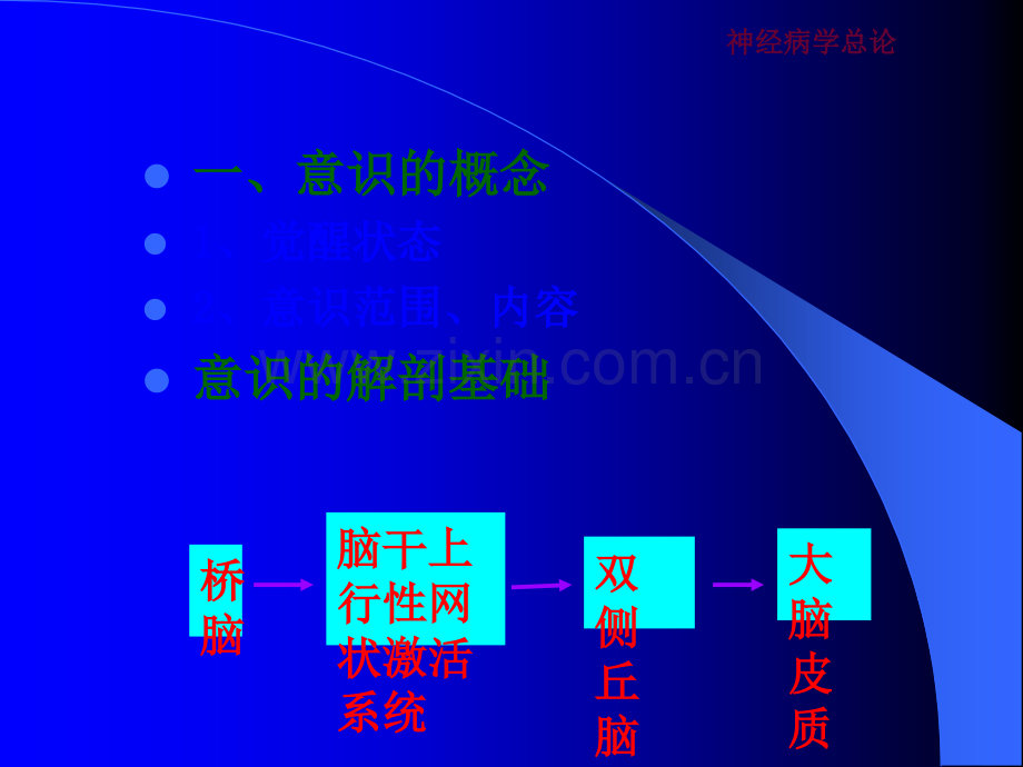 昏迷讲座.ppt_第2页