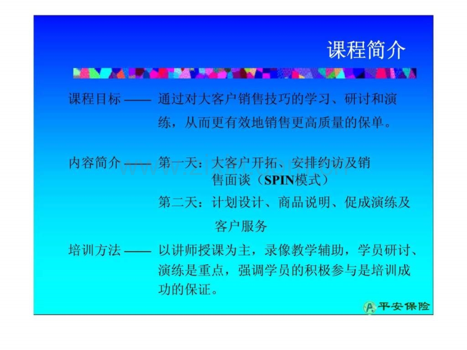 平安保险大客户销售技巧研讨——业务员销售技巧研讨班.pptx_第2页