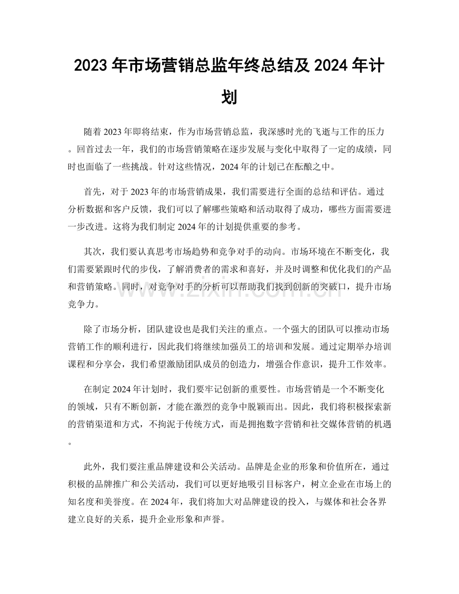 2023年市场营销总监年终总结及2024年计划.docx_第1页