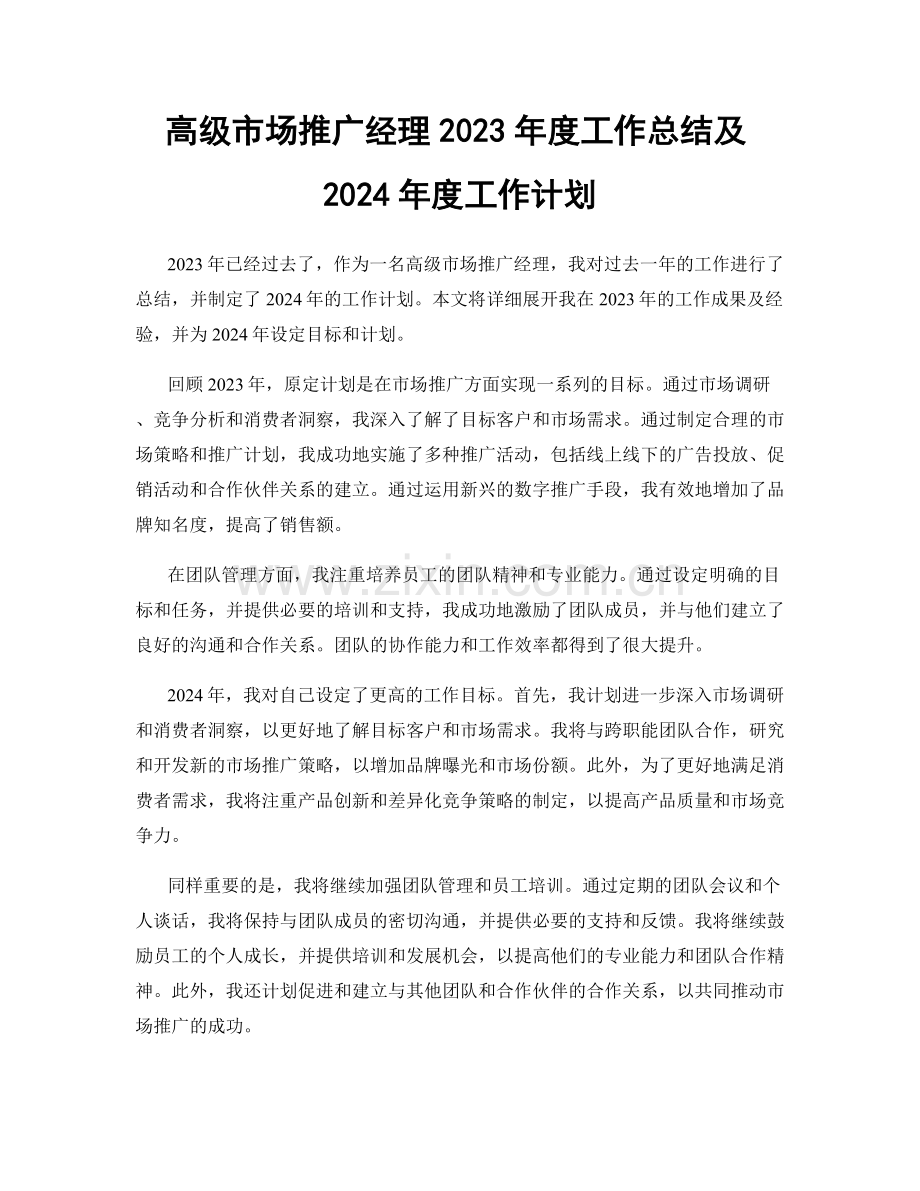 高级市场推广经理2023年度工作总结及2024年度工作计划.docx_第1页